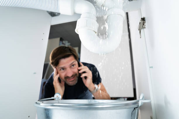 Best Shower Repair Services  in Bloomingdale, IL