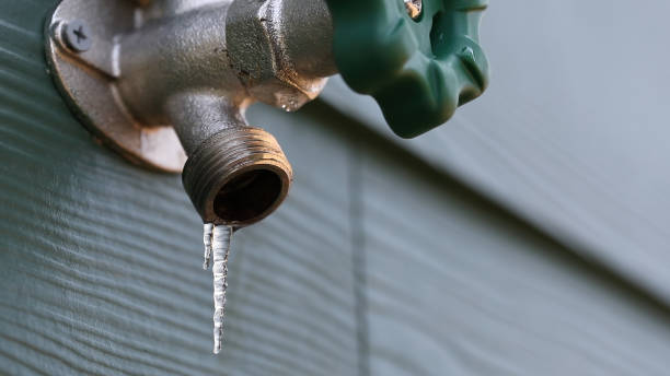 Best Sprinkler Systems  in Bloomingdale, IL